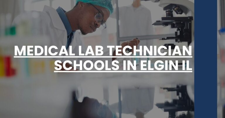 Medical Lab Technician Schools in Elgin IL Feature Image