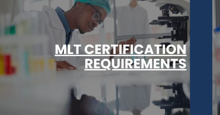 MLT Certification Requirements Feature Image