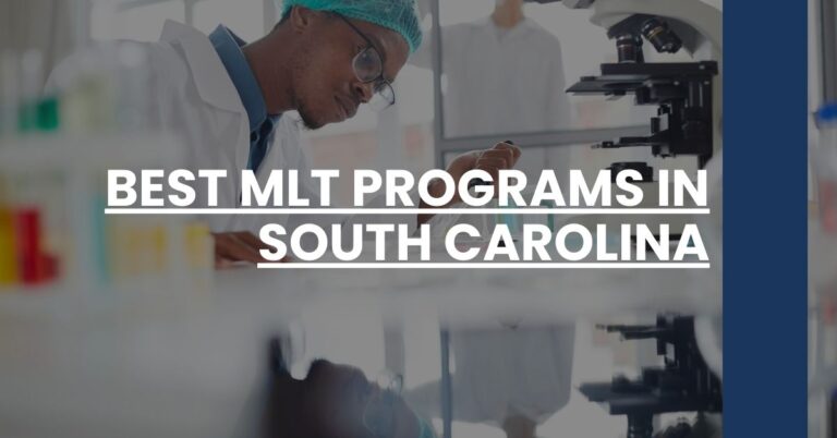 Best MLT Programs In South Carolina Feature Image